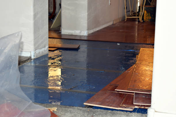Professional Emergency Water Damage Restoration technician working in Hayfield, VA